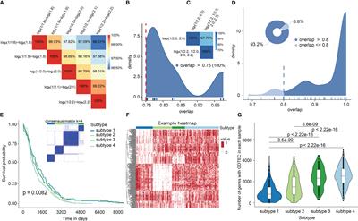 Integration of multi-omics data reveals a novel hybrid breast cancer subtype and its biomarkers